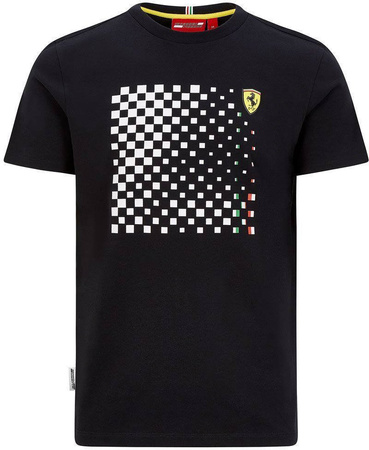 SF FW MENS CHECKERED GRAPHIC TEE