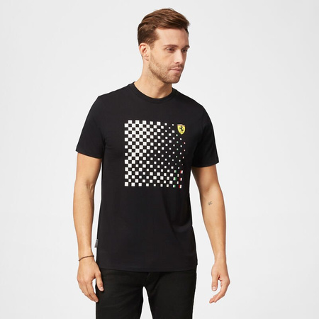 SF FW MENS CHECKERED GRAPHIC TEE